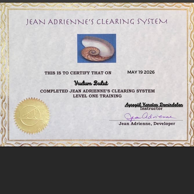 JAAS / JEAN ADRIRAN ARINMA SISTEMI - Online/Yüzyüze Danışmanlık